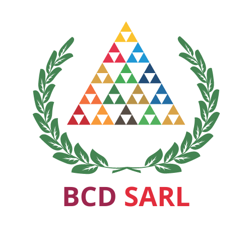 BCD SARL Logo