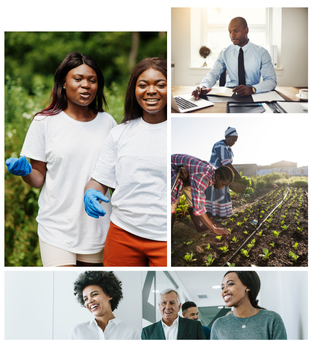 Certification collage